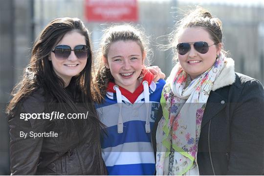 Fans at Blackrock College v Belvedere College - Beauchamps Leinster Schools Junior Cup Final