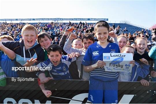 Leinster Rugby Art Competition Winner