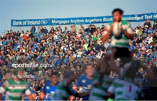 Leinster Fans at Leinster v Benetton Treviso - Celtic League 2013/14 Round 20