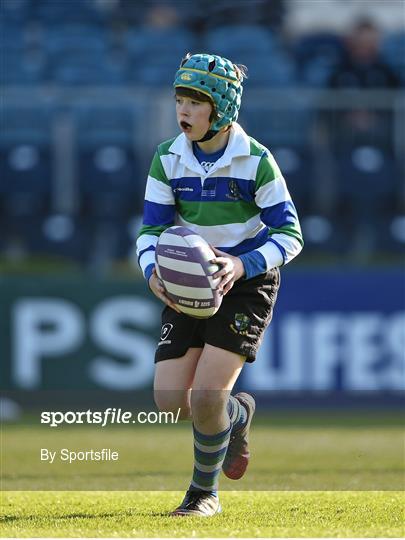 Half-Time Mini Games at Leinster v Benetton Treviso - Celtic League 2013/14 Round 20
