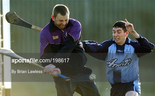 Dublin v Wexford - Walsh Cup