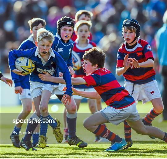 Half-Time Mini Games at Leinster v Benetton Treviso - Celtic League 2013/14 Round 20