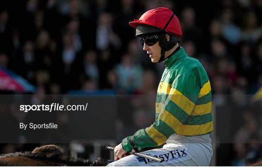 Horse Racing - Fairyhouse Easter Festival - Monday 21st April 2014