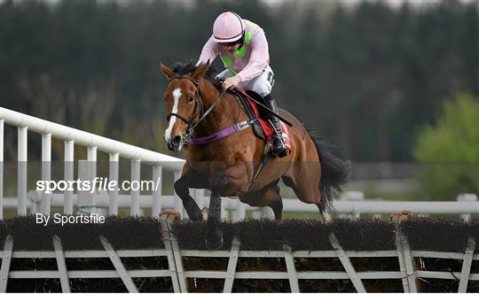 Horse Racing - Punchestown Festival
