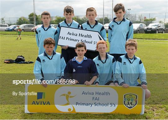 Aviva Health FAI Primary School 5’s Leinster Finals