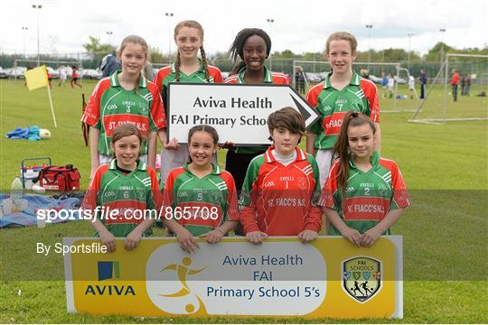 Aviva Health FAI Primary School 5’s Leinster Finals