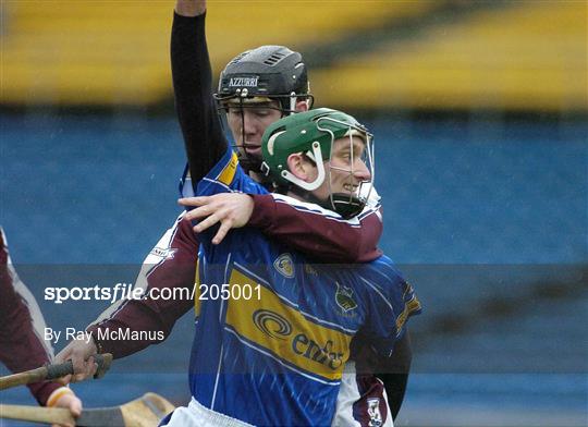 Tipperary v Galway - NHL