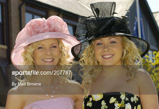 Punchestown Races Friday 28th April 2006