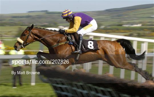 Punchestown Races Friday 28th April 2006