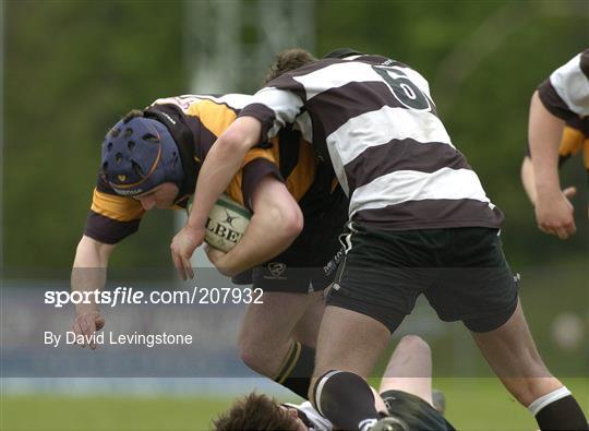 Young Munster v Old Belvedere - AIB League