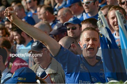 Leinster Fans at Leinster v Glasgow Warriors - Celtic League 2013/14 Grand Final