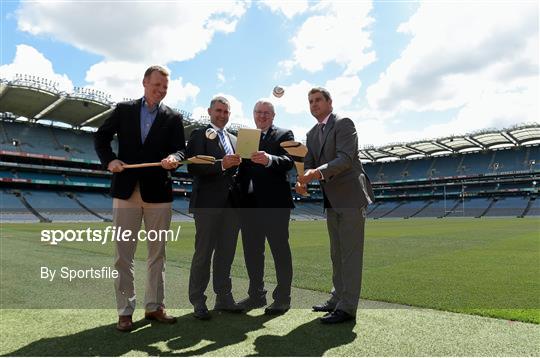 Hurling 2020 Website and Survey Launch