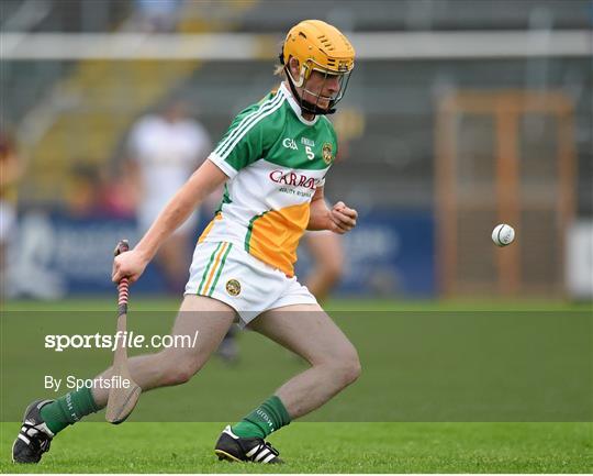 Wexford v Offaly - Bord Gáis Energy Leinster GAA Hurling Under 21 Championship Semi-Final