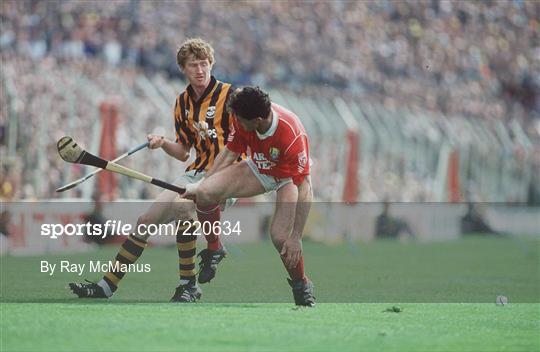 Kilkenny v Cork - All-Ireland Hurling Championship Final