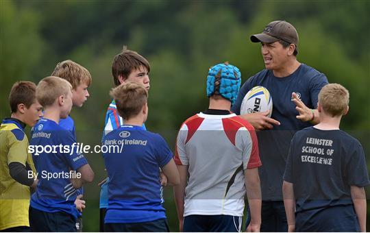 Leinster School of Excellence Camp - Wednesday 30th July 2014