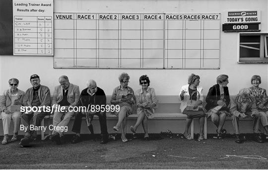 Galway Racing Festival - Alternate View