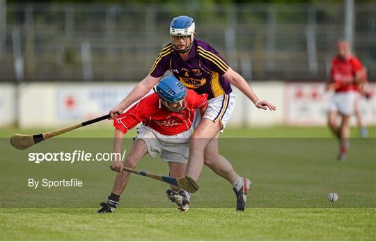 Jim Bolger's Stars v Davy Russell's Best - Irish Cancer Society's Hurling for Cancer Research 2014