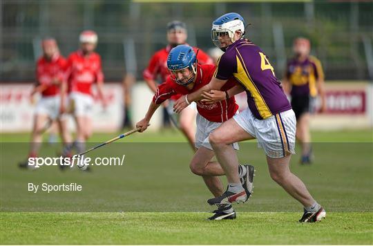 Jim Bolger's Stars v Davy Russell's Best - Irish Cancer Society's Hurling for Cancer Research 2014