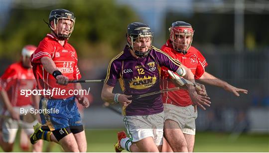 Jim Bolger's Stars v Davy Russell's Best - Irish Cancer Society's Hurling for Cancer Research 2014