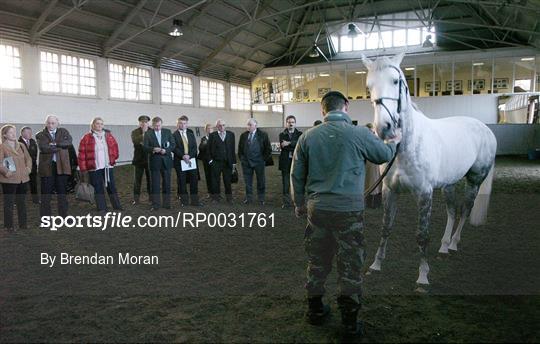 Launch by the Horse Racing Board of Ireland