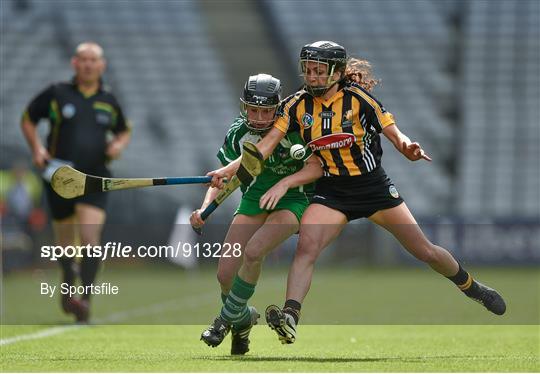 Kilkenny v Limerick - All Ireland Intermediate Camogie Championship Final