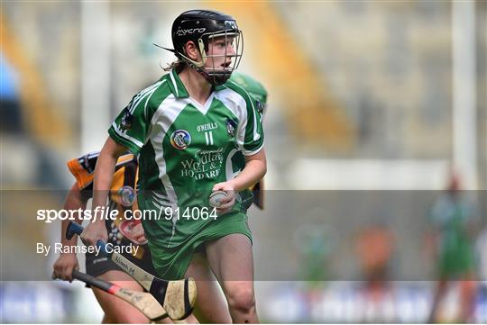 Kilkenny v Limerick - All Ireland Intermediate Camogie Championship Final