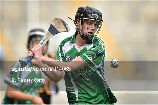 Kilkenny v Limerick - All Ireland Intermediate Camogie Championship Final