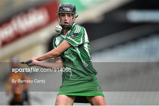 Kilkenny v Limerick - All Ireland Intermediate Camogie Championship Final Kilkenny v Limerick - All Ireland Intermediate Camogie Championship Final