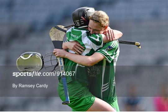 Kilkenny v Limerick - All Ireland Intermediate Camogie Championship Final