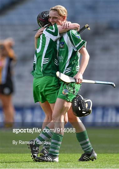 Kilkenny v Limerick - All Ireland Intermediate Camogie Championship Final Kilkenny v Limerick - All Ireland Intermediate Camogie Championship Final