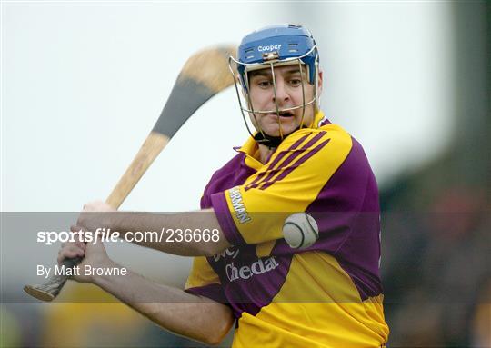 Allianz NHL Division 1A - Wexford v Waterford