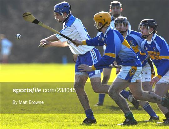 Ulster Bank Fitzgibbon Cup Dit V St Pat S 238045 Sportsfile