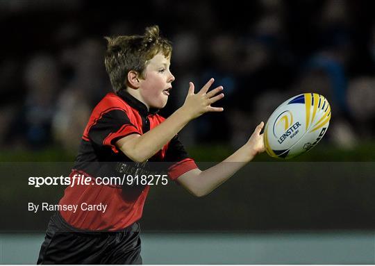 Bank of Ireland's Half-Time Minis at Leinster v Cardiff Blues - Guinness PRO12 Round 4