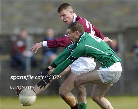 Galway v Limerick - Allianz Football League Division 1B Round 4