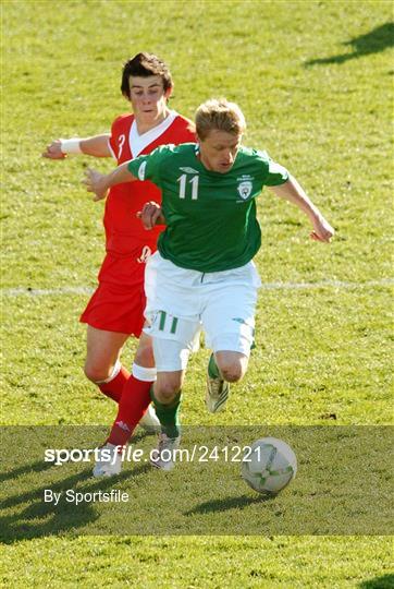 Republic of Ireland v Wales - 2008 European Championship Qualifier