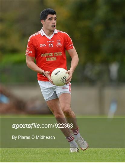 St Judes v St Brigids - Dublin County Senior Championship Quarter-Final