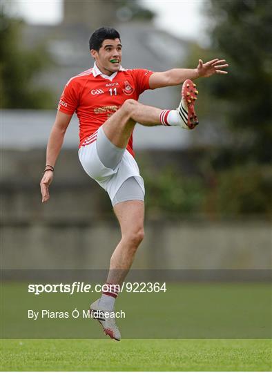 St Judes v St Brigids - Dublin County Senior Championship Quarter-Final