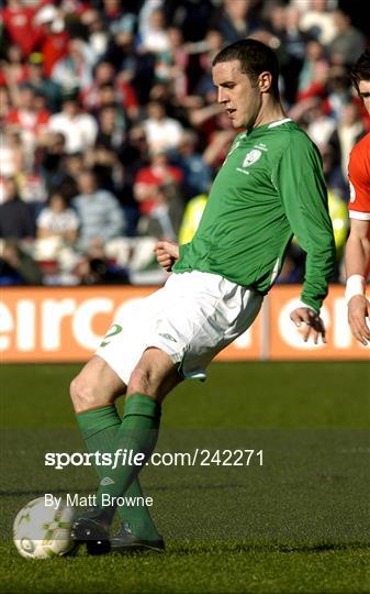 Republic of Ireland v Wales - 2008 European Championship Qualifier