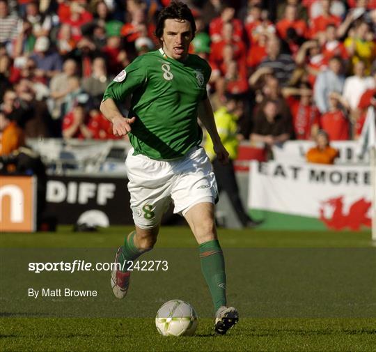 Republic of Ireland v Wales - 2008 European Championship Qualifier Republic of Ireland v Wales - 2008 European Championship Qualifier