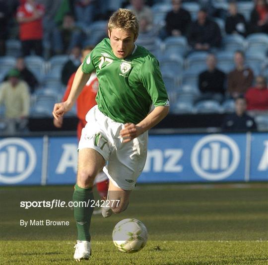 Republic of Ireland v Wales - 2008 European Championship Qualifier