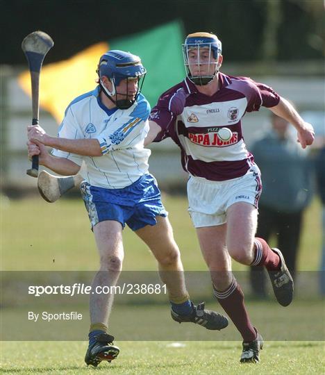 Fitzgibbon Cup Semi-Final - DIT v NUI Galway
