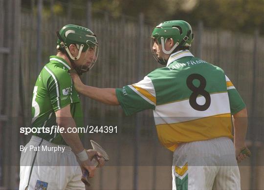 Offaly v Limerick - Allianz NHL Relegation