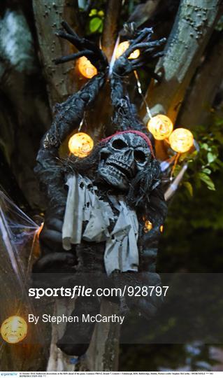 Halloween Festivities at Leinster v Edinburgh - Guinness PRO12 Round 7