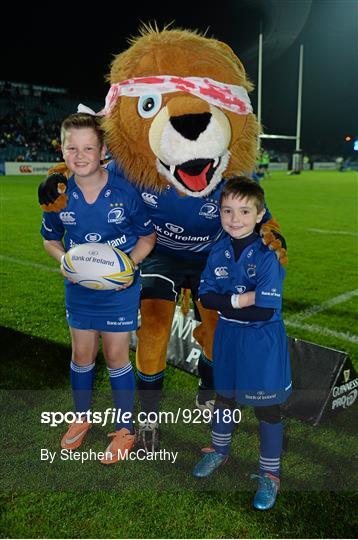 Mascots at Leinster v Edinburgh - Guinness PRO12 Round 7