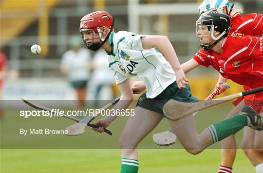 Cork v Limerick - Camogie National League Division 1B Final Cork v Limerick - Camogie National League Division 1B Final