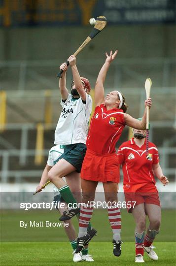 Cork v Limerick - Camogie National League Division 1B Final Cork v Limerick - Camogie National League Division 1B Final