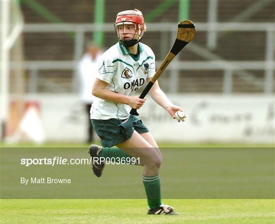 Cork v Limerick - Camogie National League Division 1B Final Cork v Limerick - Camogie National League Division 1B Final