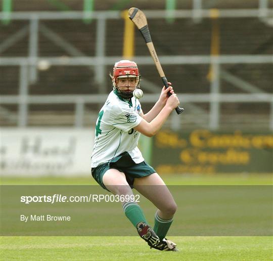 Cork v Limerick - Camogie National League Division 1B Final Cork v Limerick - Camogie National League Division 1B Final