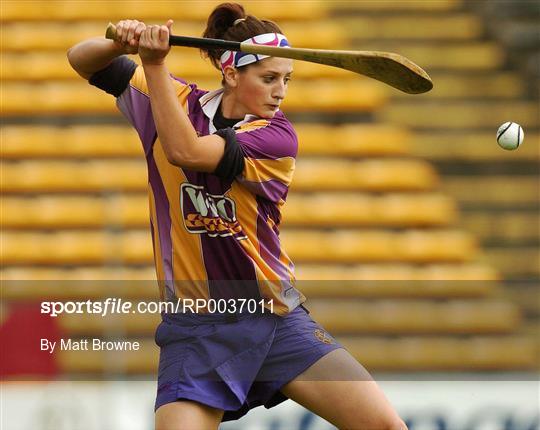 Tipperary or Cork v Wexford - Camogie National League Division 1A Final