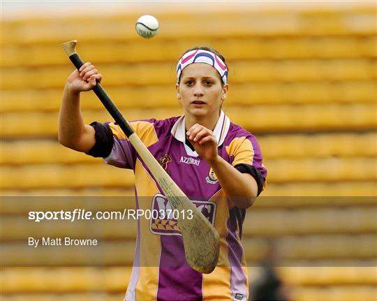 Tipperary or Cork v Wexford - Camogie National League Division 1A Final